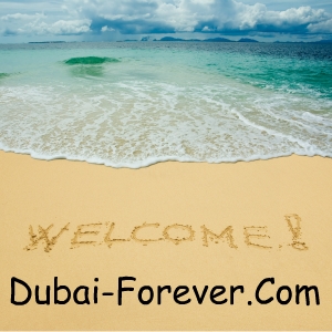 Resume writing services middle east Resume writing services middle east