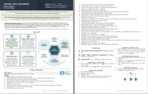 infographic-resume-writing-example.png