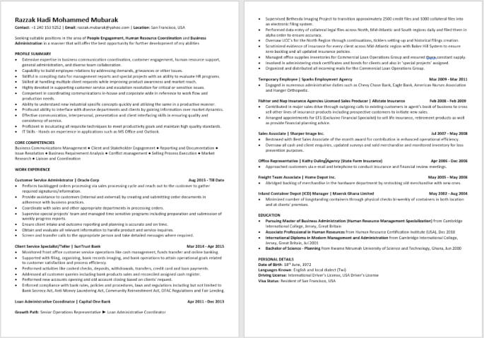 Recommended Digital CV Professional Sample