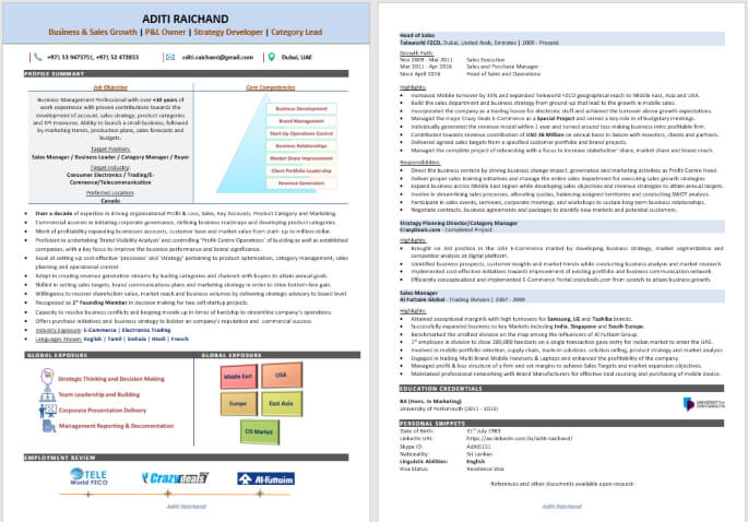 Best How To Resume Writing Format Infographic