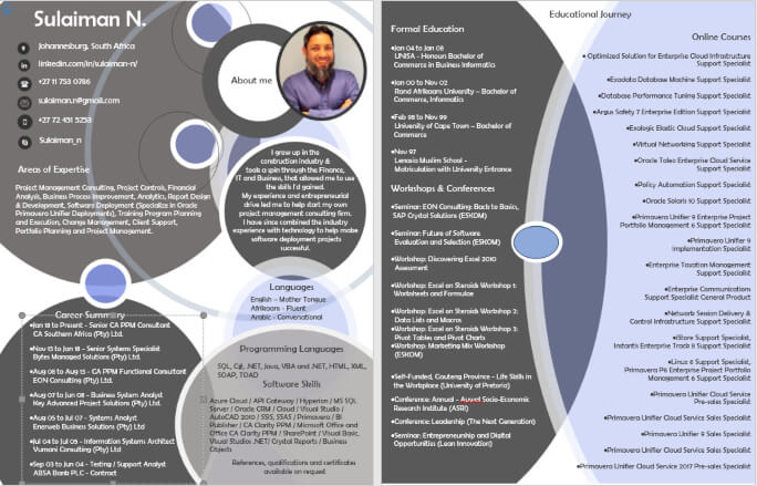 Top Infographic CV Writing Example