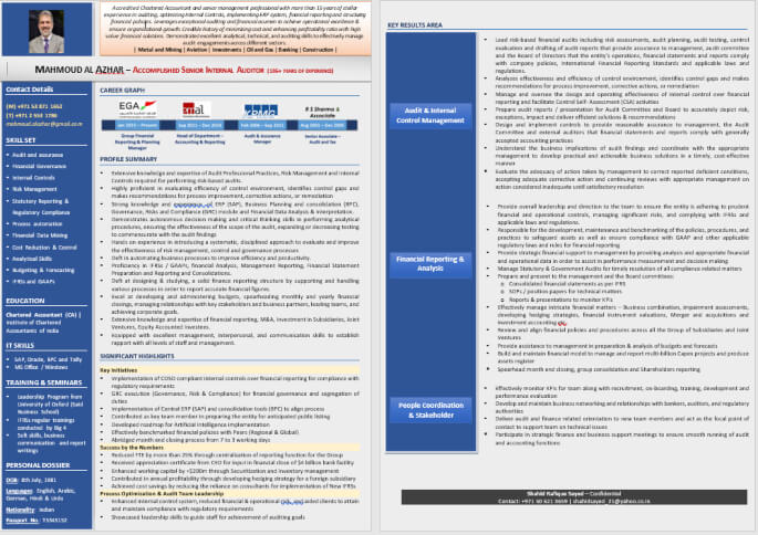 Leading Infographic Resume CV Sample PDF