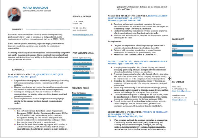 Best Infographic Resume Writing Format for Engineering Students