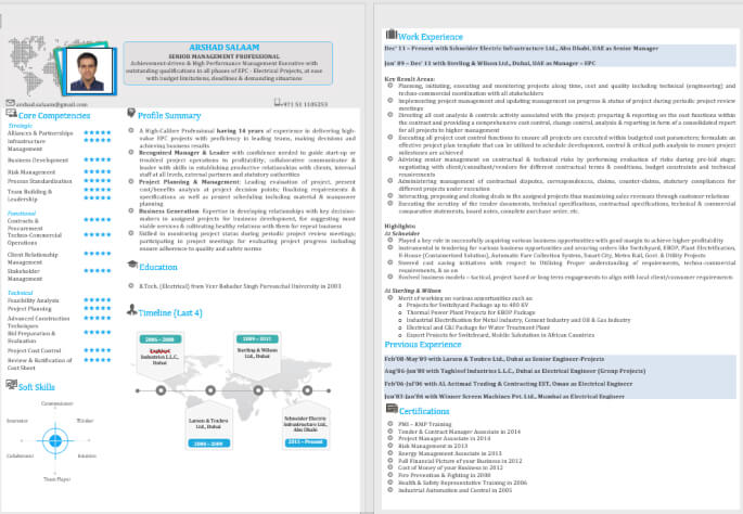 Best Infographic Resume Writing Template