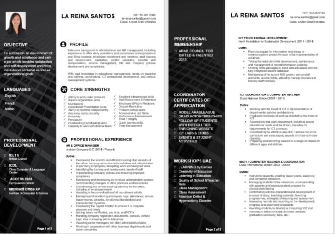 Best Visual Resume and CV Sample