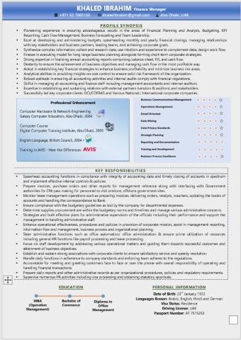 Infographic Resume Writing Format for Freshers